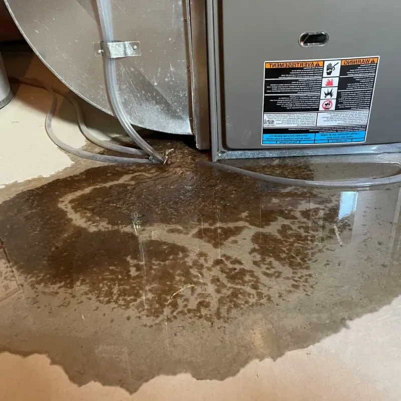 Pipe Burst and Leak Restoration in Summit Hill, PA