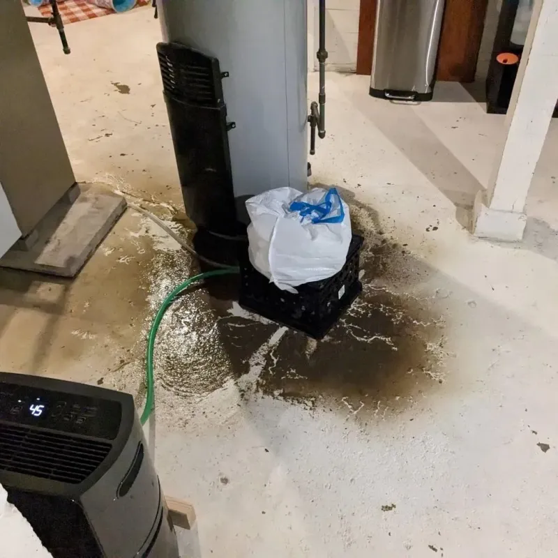 Sewage Backup Cleanup Service in Summit Hill, PA